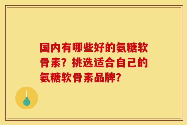 国内有哪些好的氨糖软骨素？挑选适合自己的氨糖软骨素品牌？