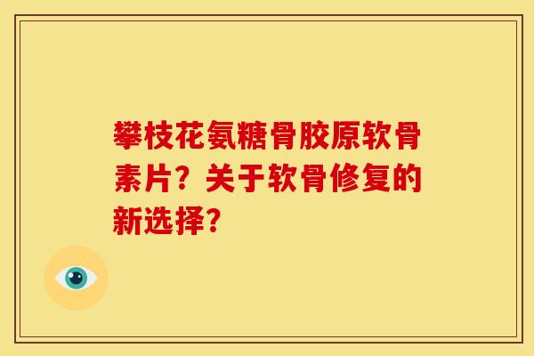 攀枝花氨糖骨胶原软骨素片?关于软骨修复的新选择? 攀枝花氨糖骨胶原软骨素片?关于软骨修复的新选择?