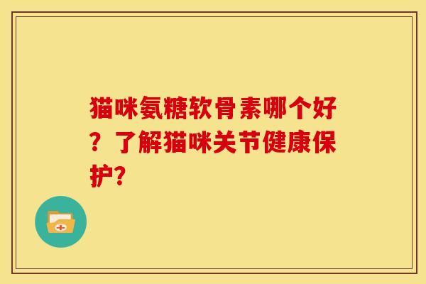 猫咪氨糖软骨素哪个好？了解猫咪关节健康保护？