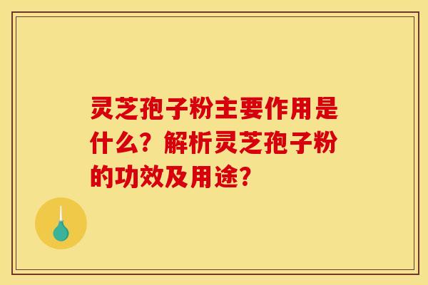 灵芝孢子粉主要作用是什么？解析灵芝孢子粉的功效及用途？