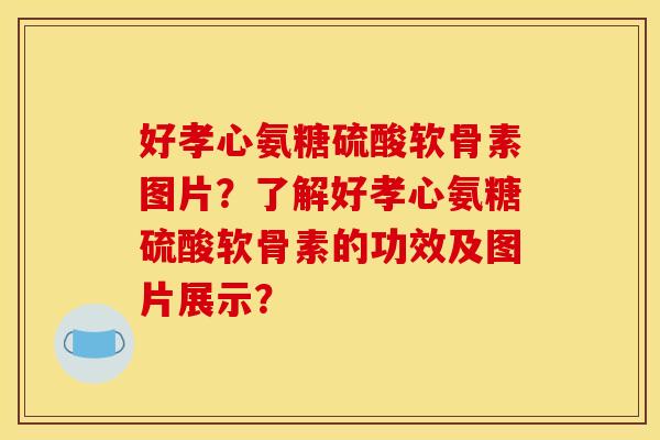好孝心氨糖硫酸软骨素图片？了解好孝心氨糖硫酸软骨素的功效及图片展示？