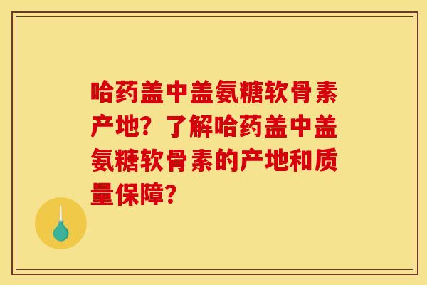 哈药盖中盖氨糖软骨素产地？了解哈药盖中盖氨糖软骨素的产地和质量保障？