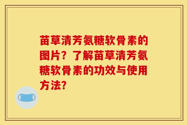 苗草清芳氨糖软骨素的图片？了解苗草清芳氨糖软骨素的功效与使用方法？