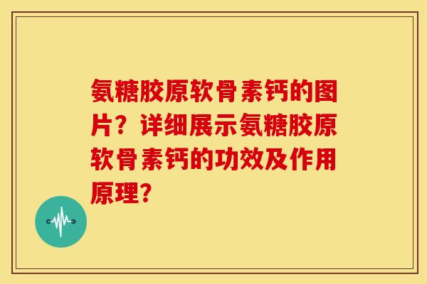 氨糖胶原软骨素钙的图片？详细展示氨糖胶原软骨素钙的功效及作用原理？