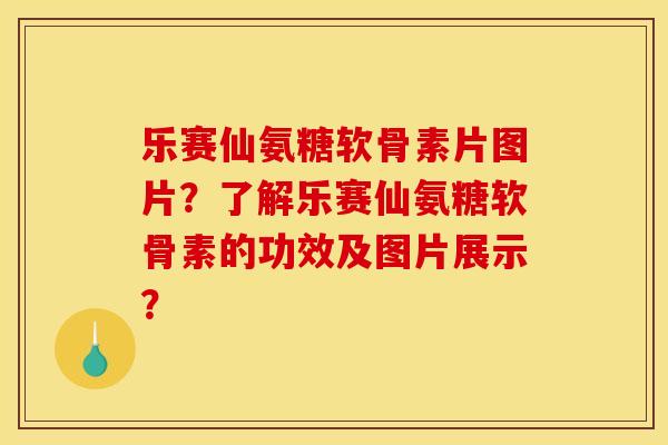 乐赛仙氨糖软骨素片图片？了解乐赛仙氨糖软骨素的功效及图片展示？