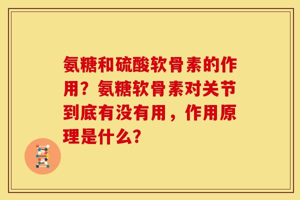 氨糖和硫酸软骨素的作用？氨糖软骨素对关节到底有没有用，作用原理是什么？