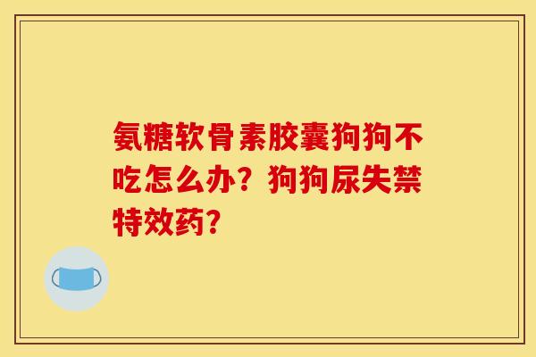 氨糖软骨素胶囊狗狗不吃怎么办？狗狗尿失禁特效药？