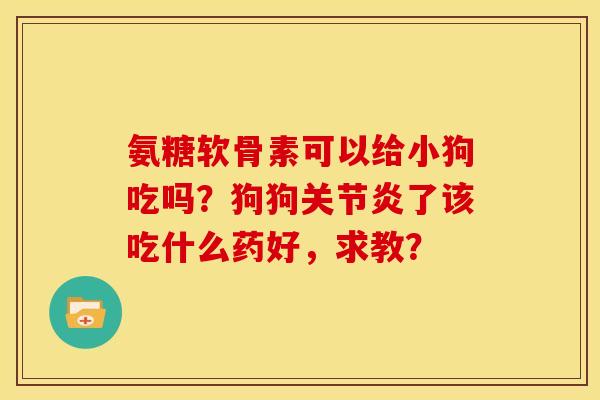 氨糖软骨素可以给小狗吃吗？狗狗关节炎了该吃什么药好，求教？