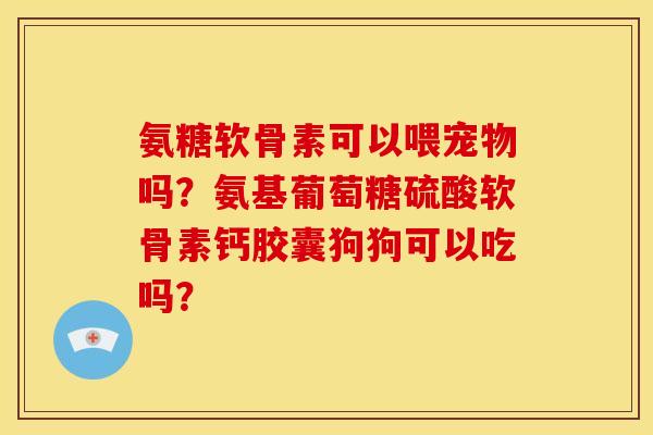 氨糖软骨素可以喂宠物吗?氨基葡萄糖硫酸软骨素钙胶囊狗狗可以吃吗? 氨糖软骨素可以喂宠物吗?氨基葡萄糖硫酸软骨素钙胶囊狗狗可以吃吗?