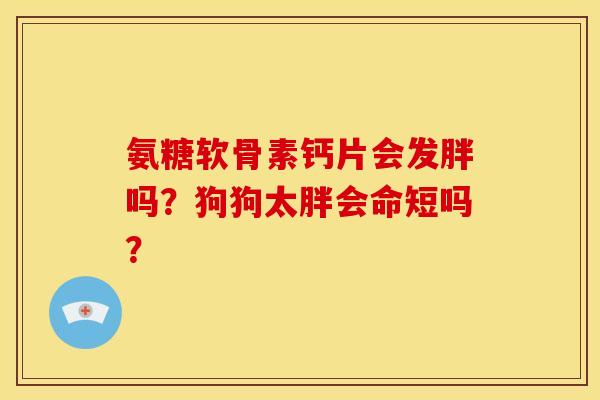 氨糖软骨素钙片会发胖吗？狗狗太胖会命短吗？
