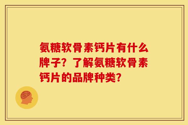 氨糖软骨素钙片有什么牌子?了解氨糖软骨素钙片的品牌种类? 氨糖软骨素钙片有什么牌子?了解氨糖软骨素钙片的品牌种类?