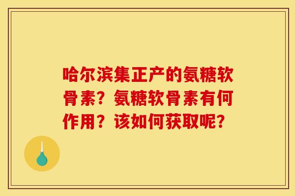 哈尔滨集正产的氨糖软骨素？氨糖软骨素有何作用？该如何获取呢？