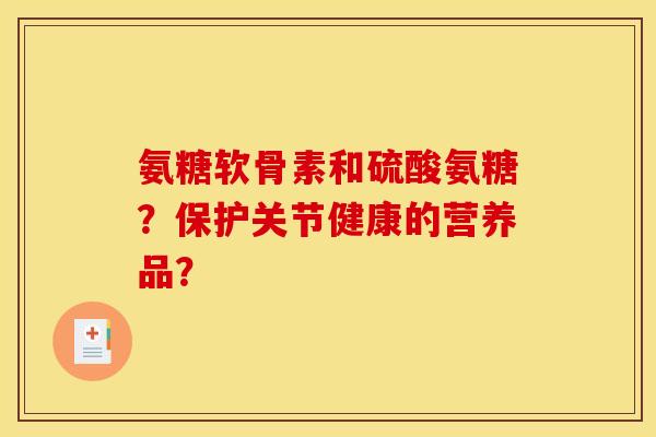 氨糖软骨素和硫酸氨糖？保护关节健康的营养品？