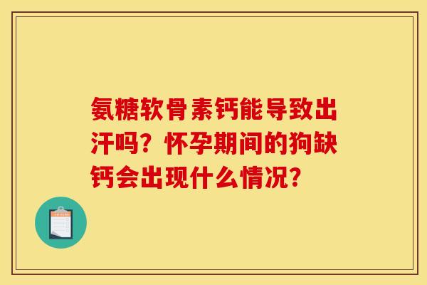 氨糖软骨素钙能导致出汗吗？怀孕期间的狗缺钙会出现什么情况？