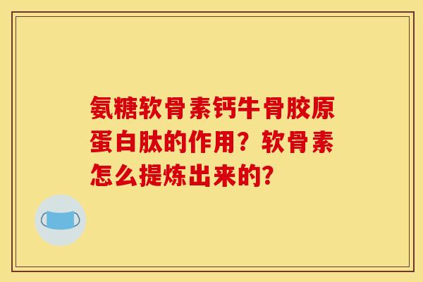 氨糖软骨素钙牛骨胶原蛋白肽的作用？软骨素怎么提炼出来的？