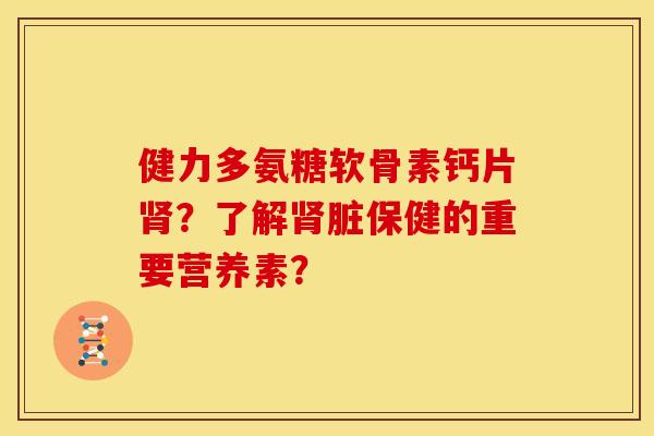 健力多氨糖软骨素钙片？了解脏保健的重要营养素？