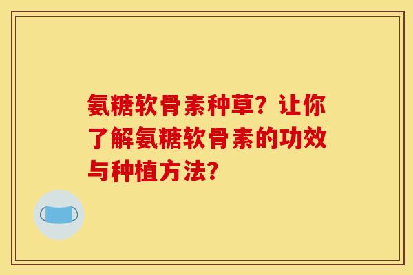 氨糖软骨素种草？让你了解氨糖软骨素的功效与种植方法？