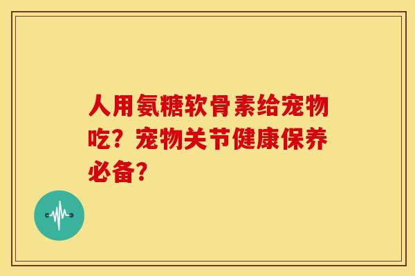 人用氨糖软骨素给宠物吃？宠物关节健康保养必备？