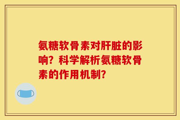 氨糖软骨素对肝脏的影响？科学解析氨糖软骨素的作用机制？