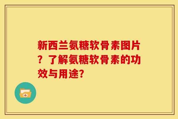 新西兰氨糖软骨素图片？了解氨糖软骨素的功效与用途？
