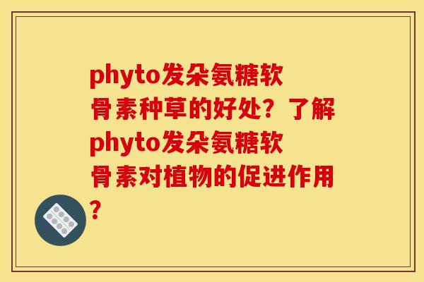 phyto发朵氨糖软骨素种草的好处？了解phyto发朵氨糖软骨素对植物的促进作用？