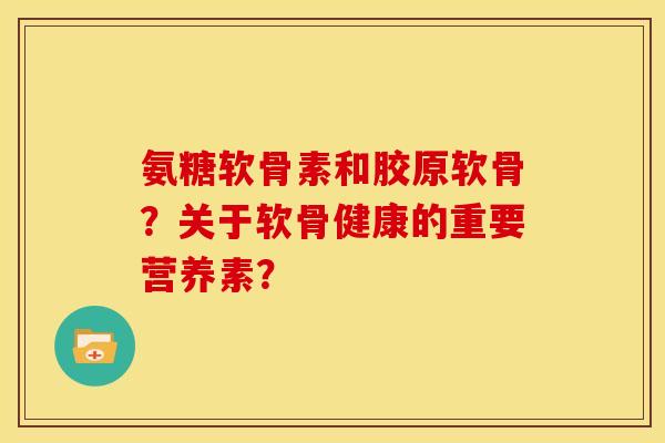 氨糖软骨素和胶原软骨？关于软骨健康的重要营养素？