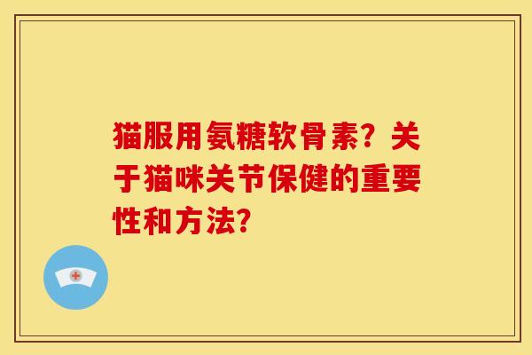 猫服用氨糖软骨素？关于猫咪关节保健的重要性和方法？