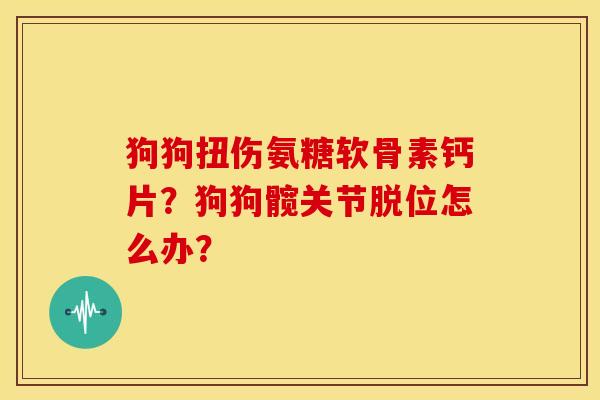 狗狗扭伤氨糖软骨素钙片?狗狗髋关节脱位怎么办? 狗狗扭伤氨糖软骨素钙片?狗狗髋关节脱位怎么办?