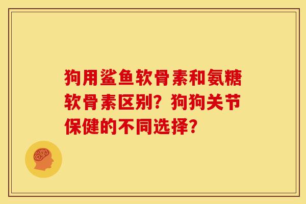 狗用鲨鱼软骨素和氨糖软骨素区别?狗狗关节保健的不同选择? 狗用鲨鱼软骨素和氨糖软骨素区别?狗狗关节保健的不同选择?