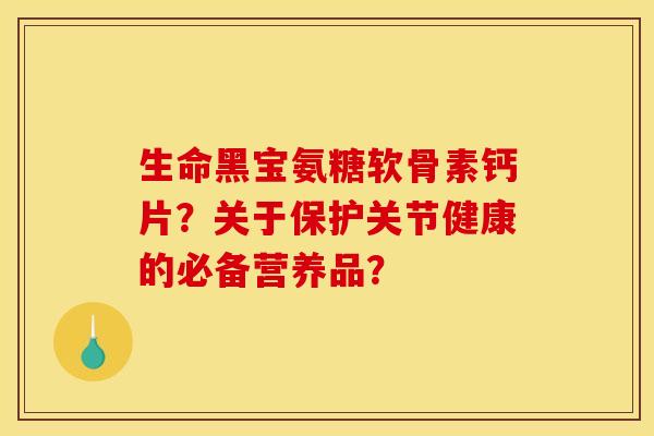 生命黑宝氨糖软骨素钙片？关于保护关节健康的必备营养品？