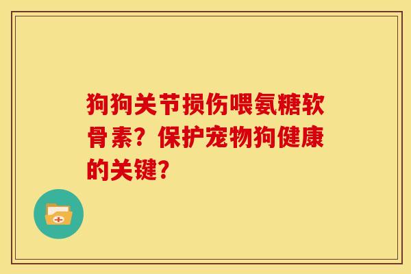 狗狗关节损伤喂氨糖软骨素？保护宠物狗健康的关键？