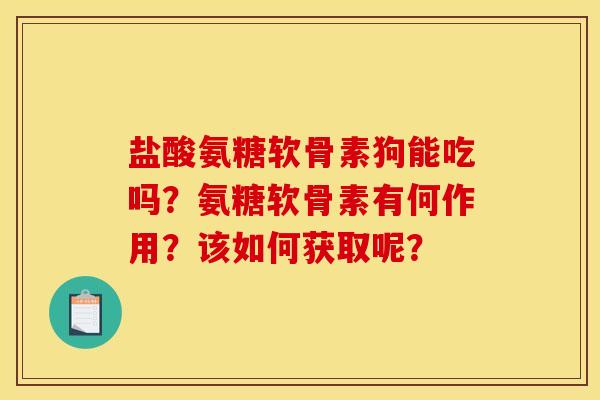 盐酸氨糖软骨素狗能吃吗？氨糖软骨素有何作用？该如何获取呢？
