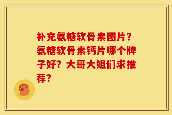 补充氨糖软骨素图片？氨糖软骨素钙片哪个牌子好？大哥大姐们求推荐？