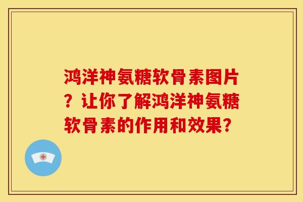 鸿洋神氨糖软骨素图片？让你了解鸿洋神氨糖软骨素的作用和效果？
