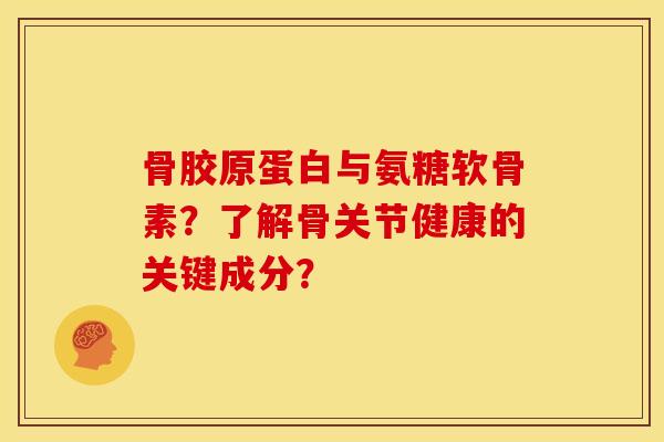 骨胶原蛋白与氨糖软骨素？了解骨关节健康的关键成分？