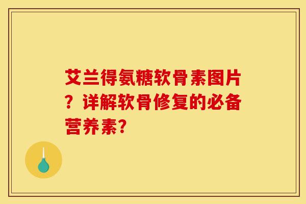 艾兰得氨糖软骨素图片？详解软骨修复的必备营养素？