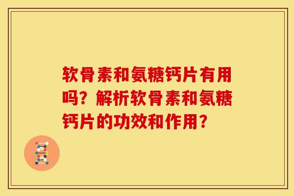 软骨素和氨糖钙片有用吗？解析软骨素和氨糖钙片的功效和作用？
