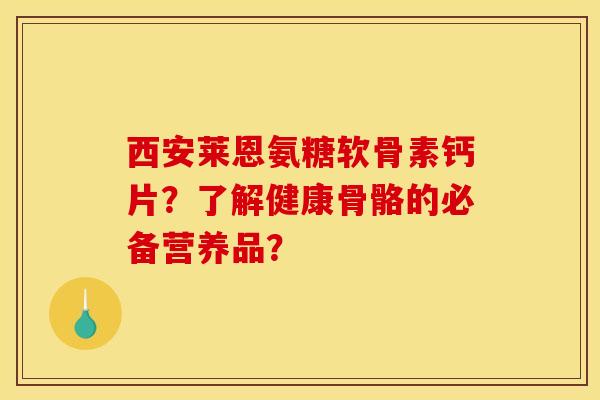 西安莱恩氨糖软骨素钙片?了解健康骨骼的必备营养品? 西安莱恩氨糖软骨素钙片?了解健康骨骼的必备营养品?