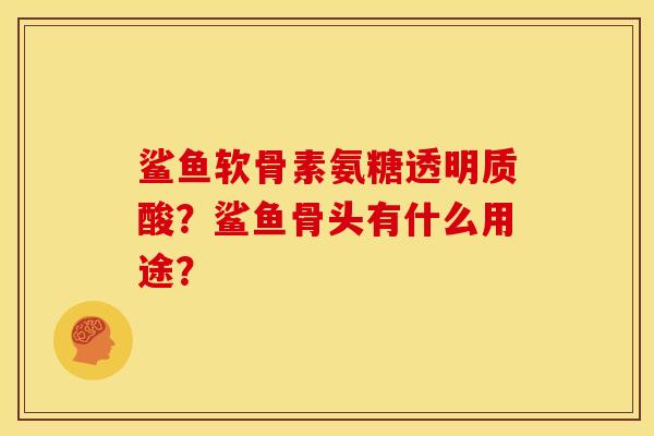 鲨鱼软骨素氨糖透明质酸？鲨鱼骨头有什么用途？