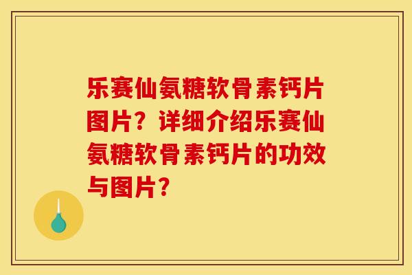 乐赛仙氨糖软骨素钙片图片？详细介绍乐赛仙氨糖软骨素钙片的功效与图片？