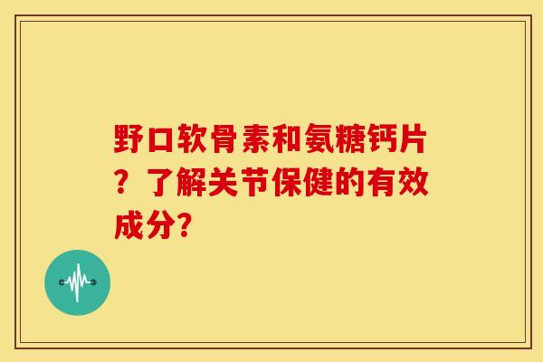 野口软骨素和氨糖钙片？了解关节保健的有效成分？