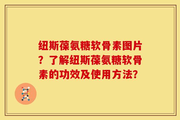 纽斯葆氨糖软骨素图片？了解纽斯葆氨糖软骨素的功效及使用方法？