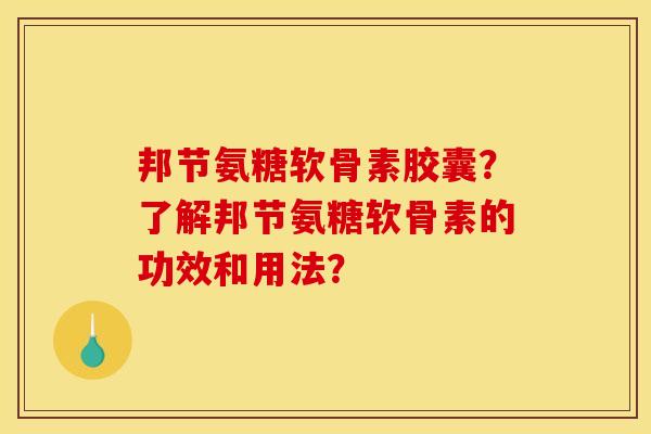 邦节氨糖软骨素胶囊？了解邦节氨糖软骨素的功效和用法？
