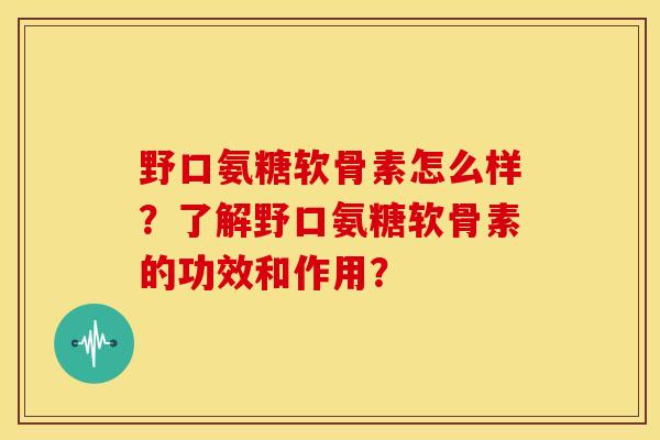野口氨糖软骨素怎么样？了解野口氨糖软骨素的功效和作用？