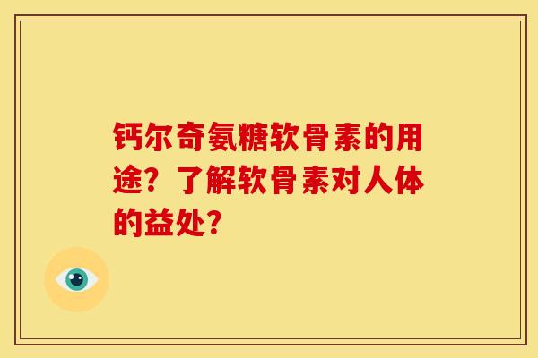 钙尔奇氨糖软骨素的用途？了解软骨素对人体的益处？