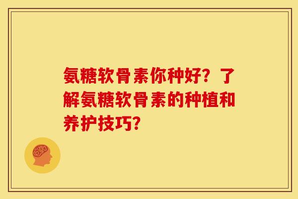 氨糖软骨素你种好？了解氨糖软骨素的种植和养护技巧？