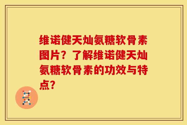 维诺健天灿氨糖软骨素图片？了解维诺健天灿氨糖软骨素的功效与特点？
