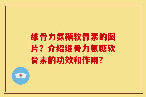 维骨力氨糖软骨素的图片？介绍维骨力氨糖软骨素的功效和作用？