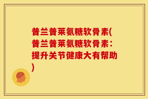 普兰普莱氨糖软骨素(普兰普莱氨糖软骨素：提升关节健康大有帮助)