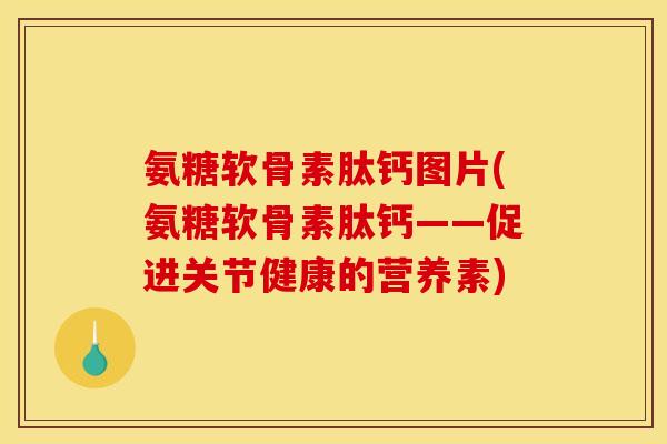 氨糖软骨素肽钙图片(氨糖软骨素肽钙——促进关节健康的营养素) 氨糖软骨素肽钙图片(氨糖软骨素肽钙——促进关节健康的营养素)